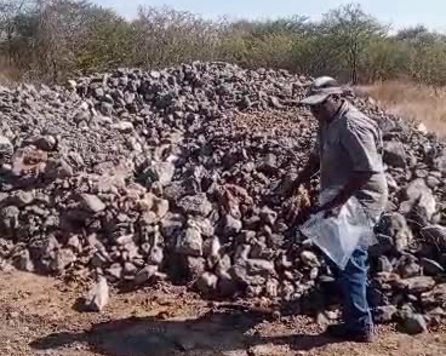 Field team sampling ore for advisory work